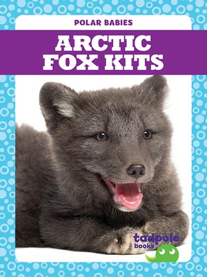 cover image of Arctic Fox Kits